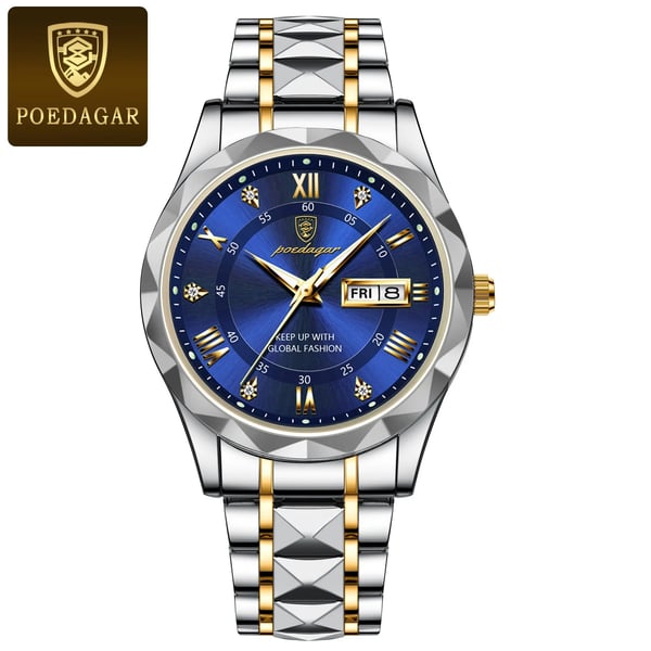 Oak & Coral | Waterproof Luxury Men's Wristwatch by the Top Brand with Luminous Function