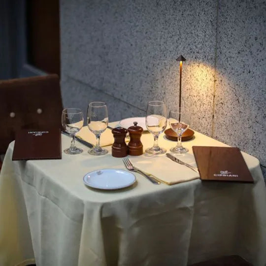 Oak & Coral | Wireless LED Table Lamp - Rechargeable, Dimmable Ambient Lighting
