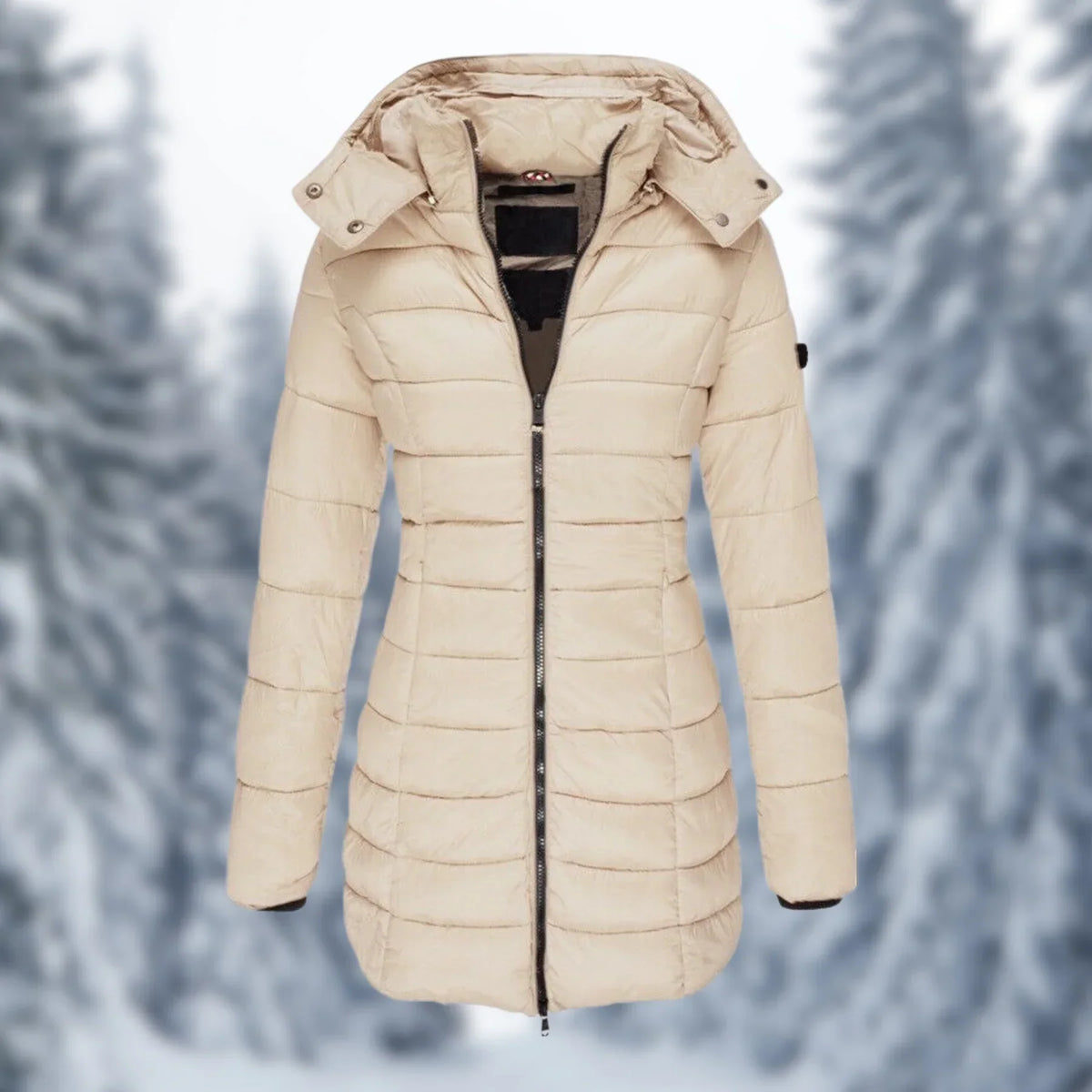 Oak & Coral | Women's Padded Mid-Length Winter Coat with Hood