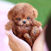 LumiPaws Interactive Plush Puppy: Realistic & Touch-Responsive