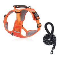 Reflective No-Pull Dog Vest | 360° Reflective & Adjustable