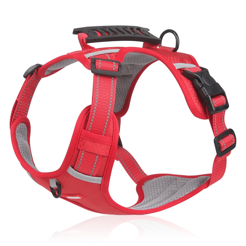Reflective No-Pull Dog Vest | 360° Reflective & Adjustable
