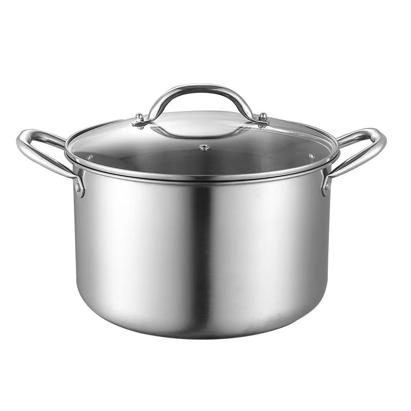Stainless Steel Stockpot with Glass Lid