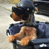 TrailPup Moto Helmet and Goggles for Dogs Safe Fit Riding